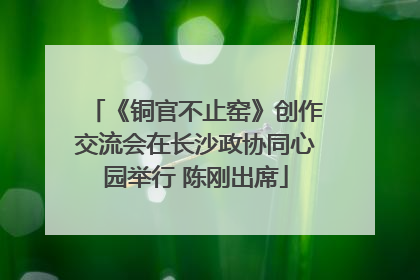《铜官不止窑》创作交流会在长沙政协同心园举行 陈刚出席