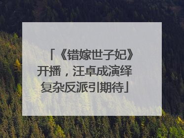《错嫁世子妃》开播，汪卓成演绎复杂反派引期待