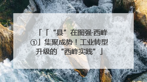 「“县”在图强·西峰①」集聚成势！工业转型升级的“西峰实践”