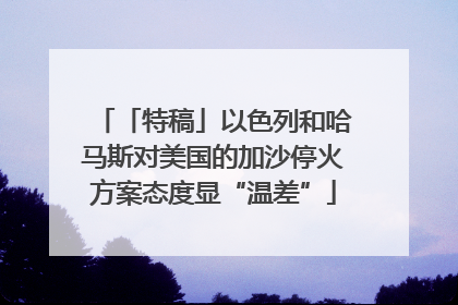 「特稿」以色列和哈马斯对美国的加沙停火方案态度显“温差”