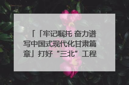 「牢记嘱托 奋力谱写中国式现代化甘肃篇章」打好“三北”工程攻坚战 筑牢国家西部生态安全屏障