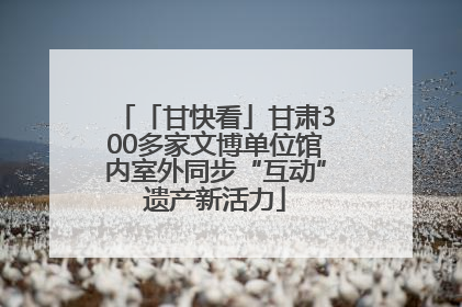 「甘快看」甘肃300多家文博单位馆内室外同步“互动”遗产新活力