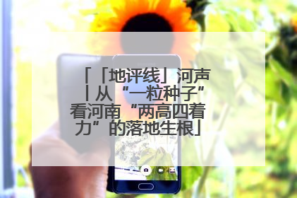 「地评线」河声丨从“一粒种子”看河南“两高四着力”的落地生根