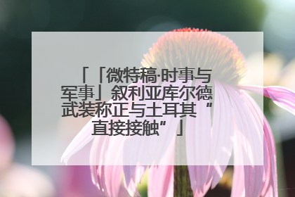 「微特稿·时事与军事」叙利亚库尔德武装称正与土耳其“直接接触”