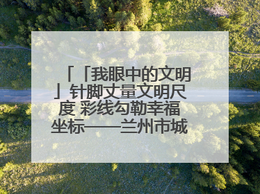 「我眼中的文明」针脚丈量文明尺度 彩线勾勒幸福坐标——兰州市城关区酒泉路街道办事处