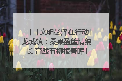 「文明彭泽在行动」龙城镇：桑果盈筐情绵长 育践五柳报春晖