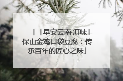 「早安云南·滇味」保山金鸡口袋豆腐：传承百年的匠心之味