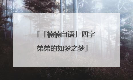「楠楠自语」四字弟弟的如梦之梦