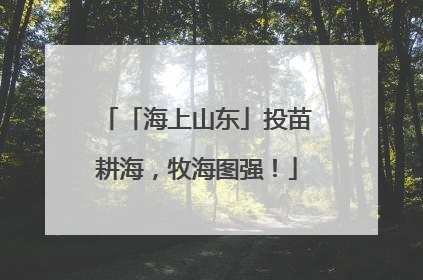「海上山东」投苗耕海，牧海图强！