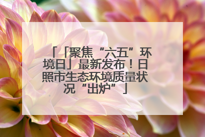 「聚焦“六五”环境日」最新发布！日照市生态环境质量状况“出炉”