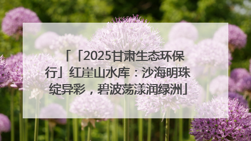 「2025甘肃生态环保行」红崖山水库：沙海明珠绽异彩，碧波荡漾润绿洲
