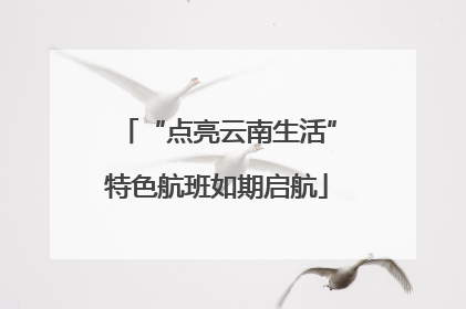 “点亮云南生活”特色航班如期启航