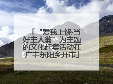 “爱我上饶·当好主人翁”为主题的文化赶集活动在广丰东阳乡开市