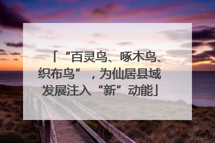 “百灵鸟、啄木鸟、织布鸟”，为仙居县域发展注入“新”动能