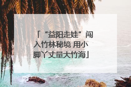 “益阳走娃”闯入竹林秘境 用小脚丫丈量大竹海