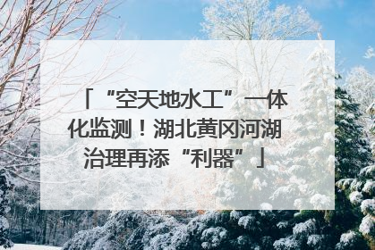 “空天地水工”一体化监测！湖北黄冈河湖治理再添“利器”