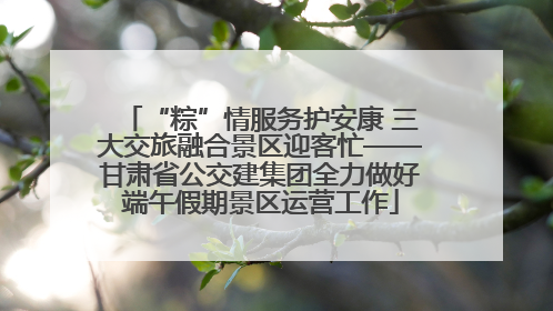 “粽”情服务护安康 三大交旅融合景区迎客忙——甘肃省公交建集团全力做好端午假期景区运营工作