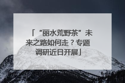 “丽水荒野茶”未来之路如何走？专题调研近日开展