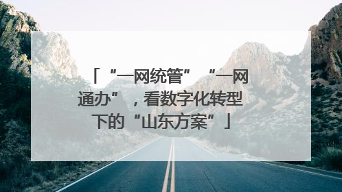 “一网统管”“一网通办”，看数字化转型下的“山东方案”