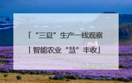 “三夏”生产一线观察丨智能农业“慧”丰收