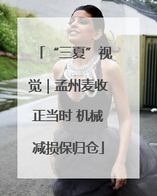 “三夏”视觉｜孟州麦收正当时 机械减损保归仓