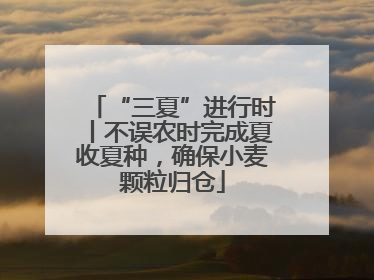 “三夏”进行时丨不误农时完成夏收夏种，确保小麦颗粒归仓