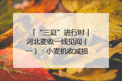 “三夏”进行时｜河北麦收一线见闻（一）：小麦机收减损“竞技” 农机高手麦田“过招”