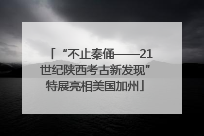 “不止秦俑——21世纪陕西考古新发现”特展亮相美国加州