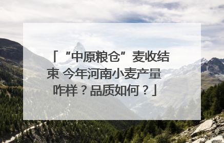 “中原粮仓”麦收结束 今年河南小麦产量咋样？品质如何？