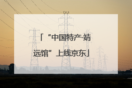 “中国特产·靖远馆”上线京东