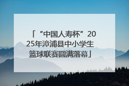“中国人寿杯”2025年漳浦县中小学生篮球联赛圆满落幕