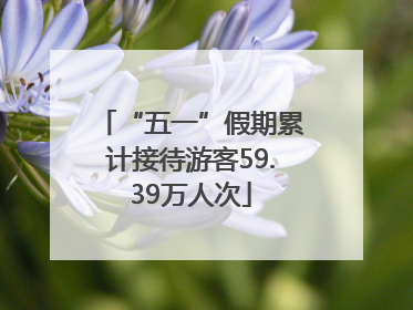 “五一”假期累计接待游客59.39万人次