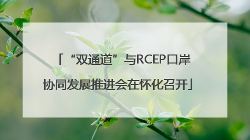 “双通道”与RCEP口岸协同发展推进会在怀化召开