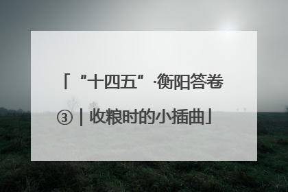“十四五”·衡阳答卷③｜收粮时的小插曲