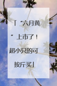 “六月黄”上市了！超小只的可按斤买
