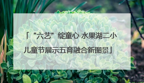 “六艺”绽童心 水果湖二小儿童节展示五育融合新图景