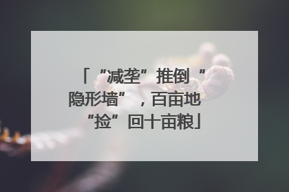 “减垄”推倒“隐形墙”，百亩地“捡”回十亩粮