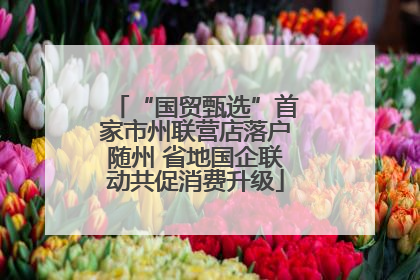 “国贸甄选”首家市州联营店落户随州 省地国企联动共促消费升级