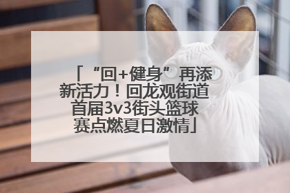 “回+健身”再添新活力！回龙观街道首届3v3街头篮球赛点燃夏日激情
