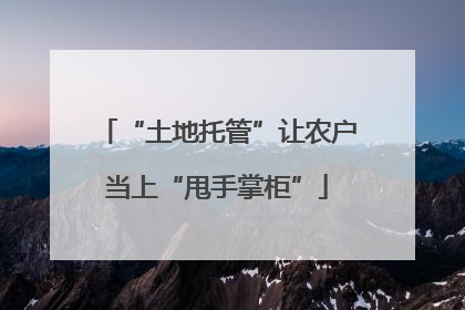 “土地托管”让农户当上“甩手掌柜”