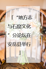 “地方志与石窟文化”分论坛在安岳县举行