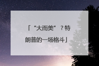 “大而美”？特朗普的一场格斗