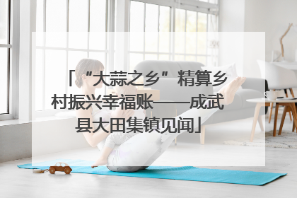 “大蒜之乡”精算乡村振兴幸福账——成武县大田集镇见闻