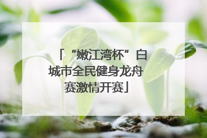“嫩江湾杯”白城市全民健身龙舟赛激情开赛