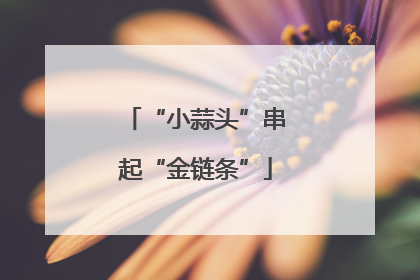 “小蒜头”串起“金链条”