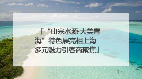 “山宗水源·大美青海”特色展亮相上海 多元魅力引客商聚焦