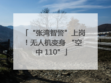 “张湾智警”上岗！无人机变身 “空中 110”