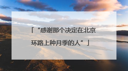 “感谢那个决定在北京环路上种月季的人”