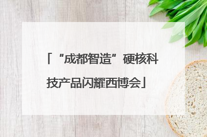 “成都智造”硬核科技产品闪耀西博会