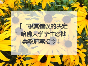 “极其错误的决定”哈佛大学学生怒批美政府禁招令
